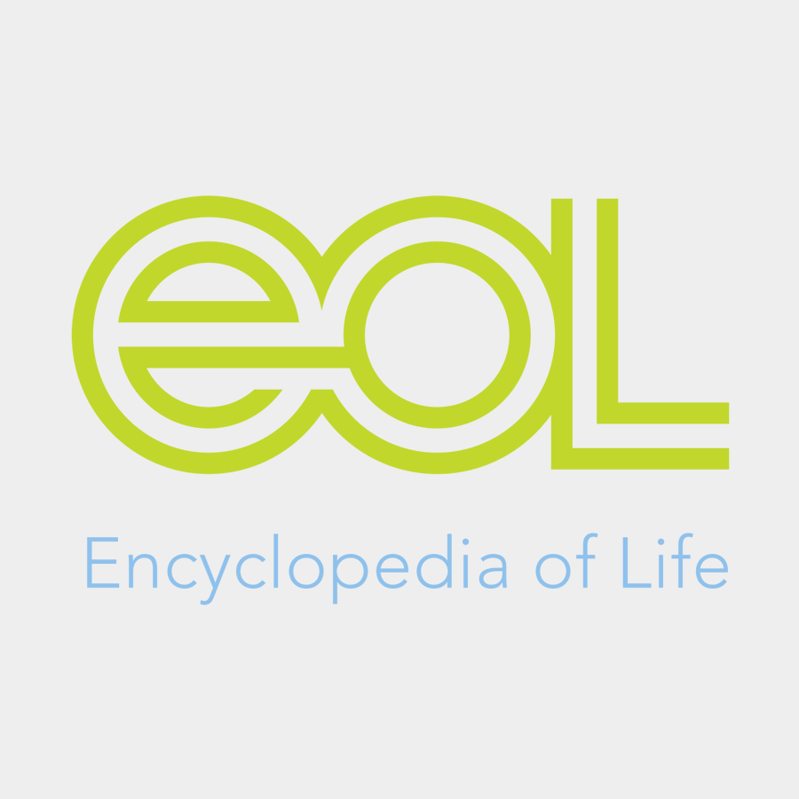 EOL (Enciclopedia Of Life)