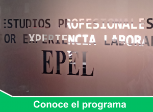 Contactarnos por WhatsApp