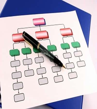 ORGANIGRAMA