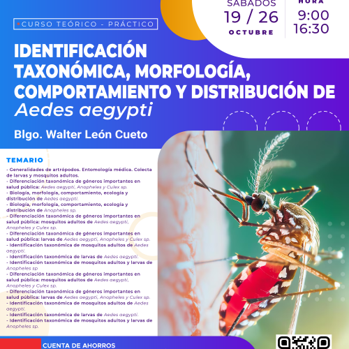 CURSO TEORICO PRACTICO