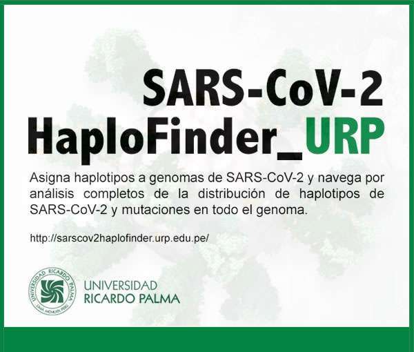 Sars-cov2-haplofinder