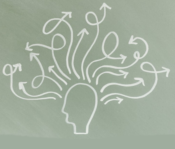 Instituto de Investigación en Salud Mental URP