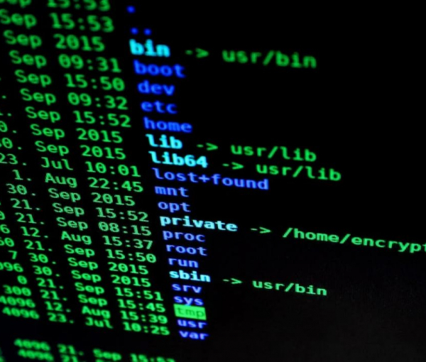 Programa I de Especialización en Ciberseguridad 2022