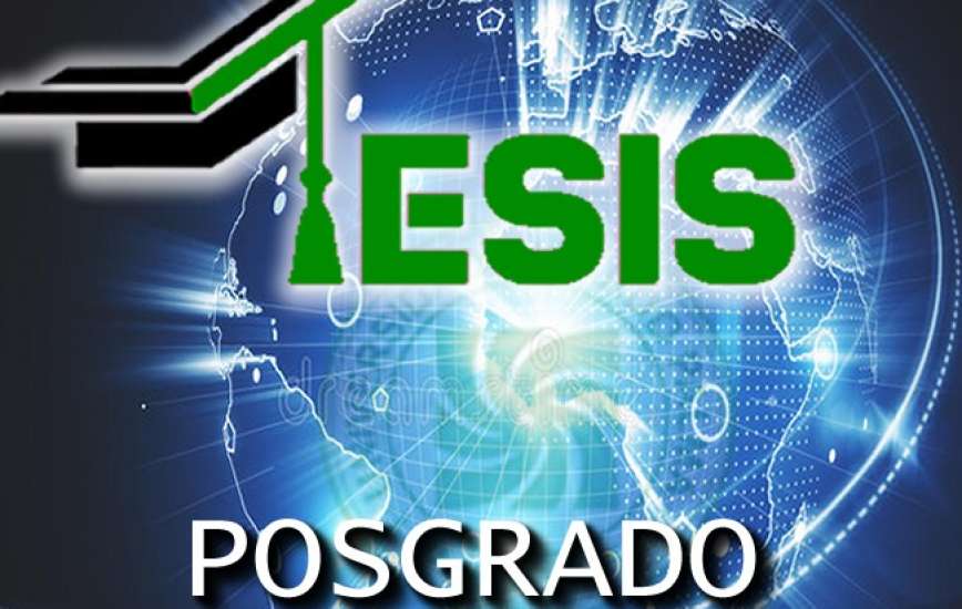 Tesis Posgrado