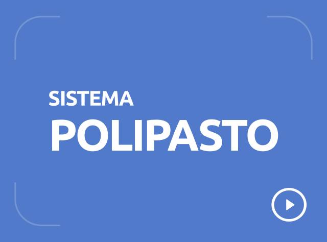 Sistema Polipasto